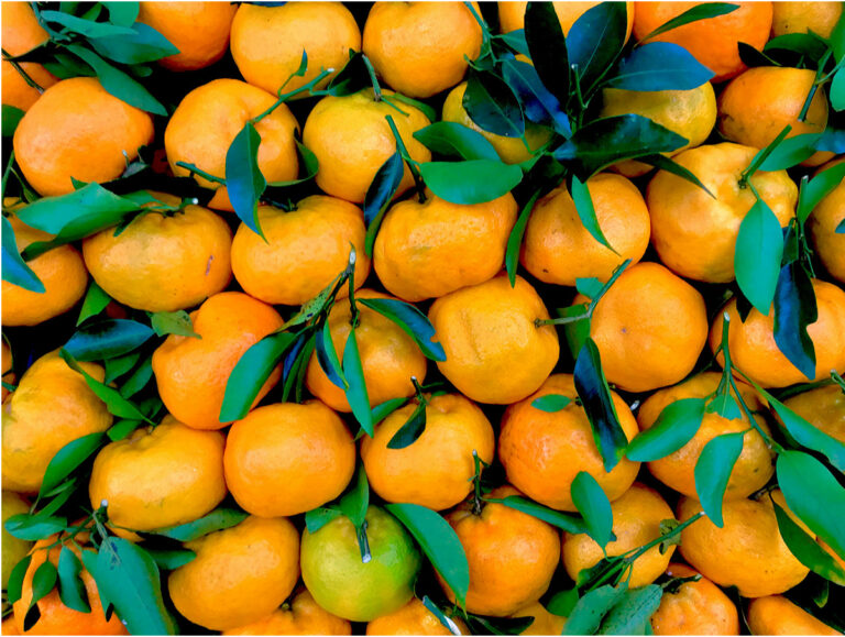UN DIABETIQUE PEUT-IL MANGER LES MANDARINES ?